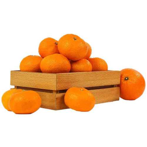 Navel Orange Spain 9kg ctn