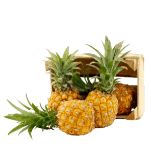 Baby Pineapple South Africa