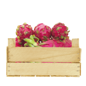 Dragon Fruit White Vietnam