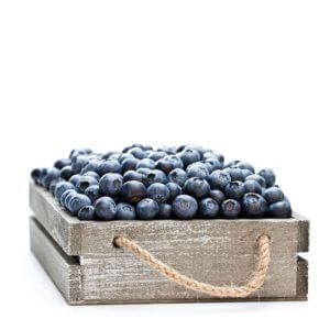 Blueberry South Africa 12x125g- bulk items- catering items- wholesale items- cafe and restaurant supply - buffet- occasion- party- fresh fruits