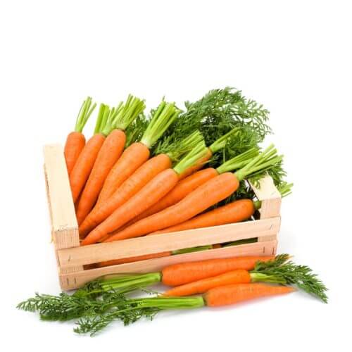Carrot Australia 10kg per box- bulk items- catering items- wholesale items- cafe and restaurant supply- fresh vegetables- fresh carrots- bulk buy- buffet- occasion- party