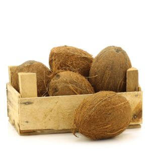 Coconut India 25pcs per box- bulk items- catering items- wholesale items- cafe and restaurant supply- buffet- occasion- party