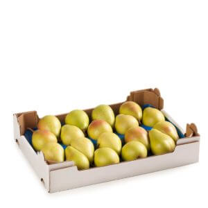 Pears Coscia Spain 8kg/box- bulk items- catering items- wholesale items- cafe and restaurant supply- catering- buffet- party- occasion- healthy fruits
