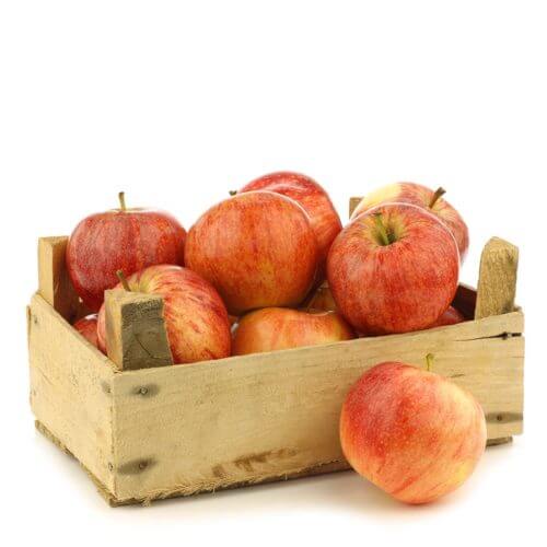 Royal Gala Apples France 18kg per box- bulk items- catering items- wholesale items- cafe and restaurant supply- healthy snacks- bulk buy- fresh fruits- occasion- buffet- party