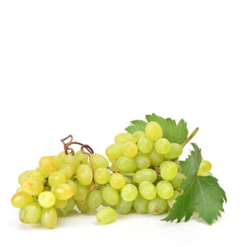 White Grapes Italy 10x500g per box- bulk items- catering items- wholesale items- cafe and restaurant supply- buffet- occasion- party- fresh fruits