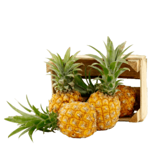 Baby Pineapple S/Af- bulk items- catering items- wholesale items- party- occasion- healthy fruits