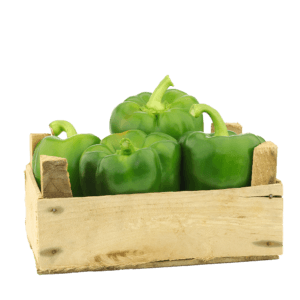 Capsicum Green UAE 5kg per carton- bulk items- wholesale items- catering items- cafe and restaurant supply- bulk buy- fresh vegetables- fresh capsicum- occasion- party- healthy snacks- salads