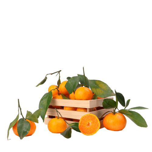 Clementine with Leaves Spain 7kg/box- bulk items- catering items- cafe and restaurant supply- mandarin-citrus- party- buffet- breakfast
