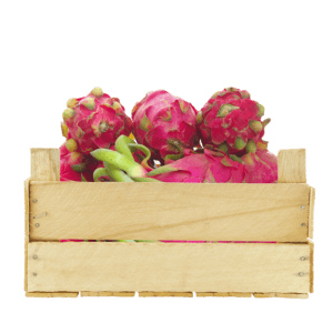 Dragon Fruit White Vietnam 4kg per box- bulk items- catering items- wholesale items- cafe and restaurant supply- buffet- occasion- party- dessert- fresh fruits