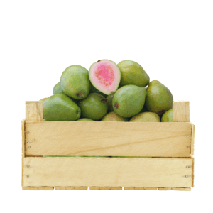 Guava Vietnam 1.6kg per ctn- bulk items- catering items- cafe and restaurant supply- buffet- occasion- party- wholesale items