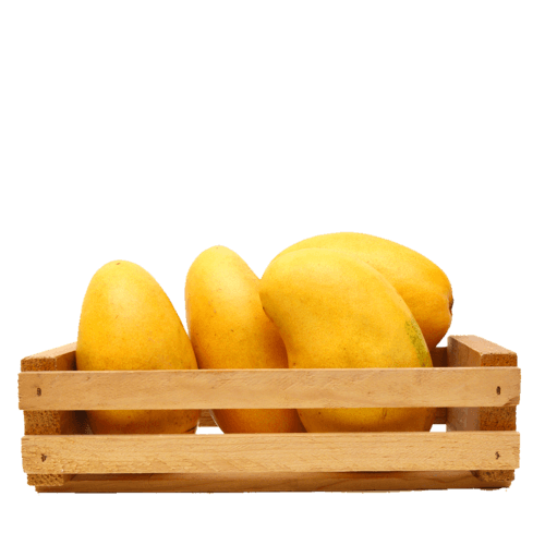 Mango Alphonso India 2.50kg/ctn- bulk items- wholesale items- cafe and restaurant supply- buffet- catering