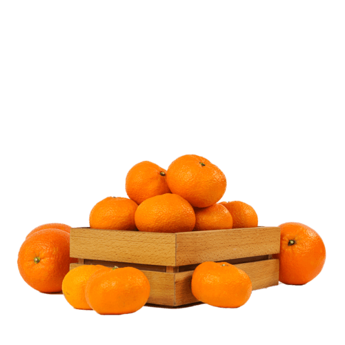 Orange Navel Egypt 9kg per ctn- bulk items- catering items- wholesale items- cafe and restaurant supply- buffet- citrus fruits- occasion- party