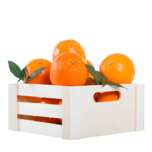 Orange Valencia Egypt 15kg- bulk items- wholesale items- catering items- cafe and restaurant supply- occasion- party- buffet- citrus fruits