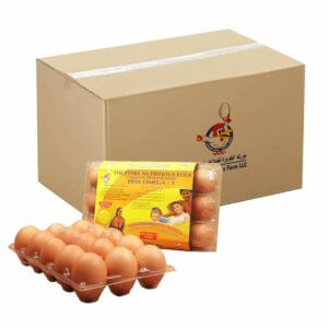 Brown-Eggs with DHA Omega-3 15pcs- Bulk items- Catering items- Wholesale Food Products- Healthy Foods- Restaurant and Cafe supplier