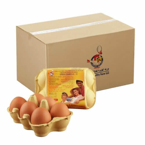Brown-Eggs with DHA Omega-3 6pcs- Bulk items- Catering items- Wholesale Food Products- Restaurant and Cafe supplier- Healthy Foods