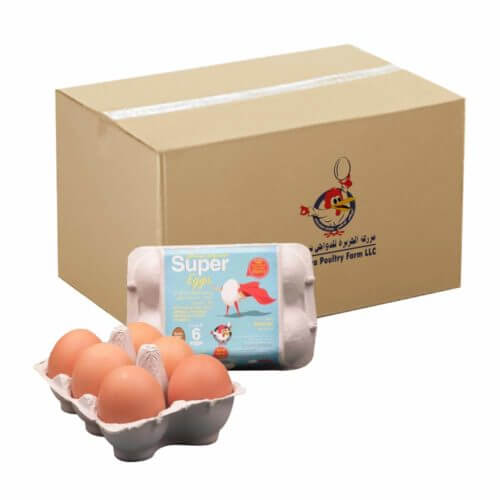 Super Eggs Brown 6pcs- Bulk items- Catering items- Healthy Foods- Wholesale Food Products- Superfood- Organic Egg