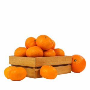 Navel Orange Spain 9kg per ctn- bulk items- catering items- wholesale items- cafe and restaurant supply- buffet- citrus fruits- occasion- party