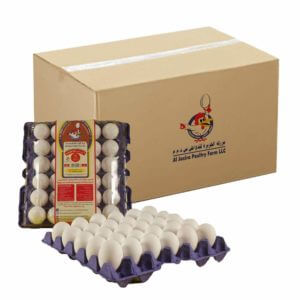 White Eggs / Jumbo 30s- Bulk items- Catering items- Wholesale Food Products- Healthy Foods- Superfood