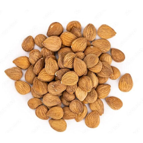 Apricot seed Afghanistan 10kg
