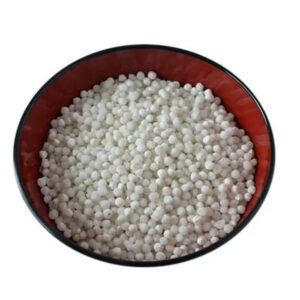 Sago Seed India 15kg