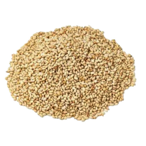 Sesame Seed Roasted India 10kg
