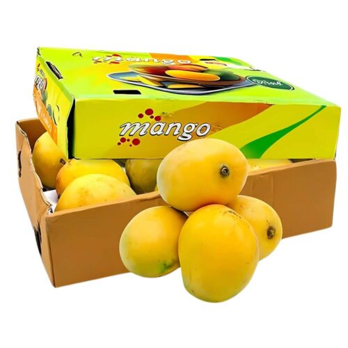 Mango Badami India
