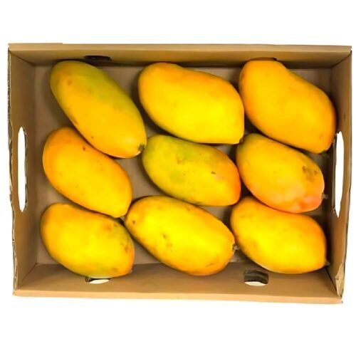 Mango Taymor Yamen Pack 2.5kg